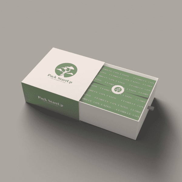 PACK-STARTUP caja blanca con motivos bonsai verde logoo one group agency marketing 2