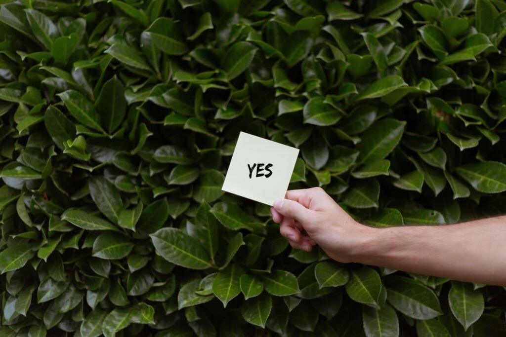 person-holding-white-card-with-yes-print-with-green-bay-laurelsPosiciona tu Negocio en Guatemala con un Servicio Profesional de SEO