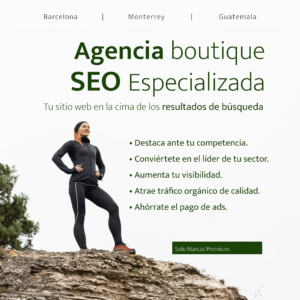 Pack Agencia Seo Guatemala en la Cima Servicios-Agencia-Seo-Guatemamala-marcas-premium-google-primer-lugar-buscadores.